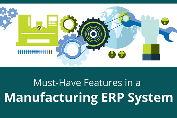 What are the 5 elements of a standard ERP?